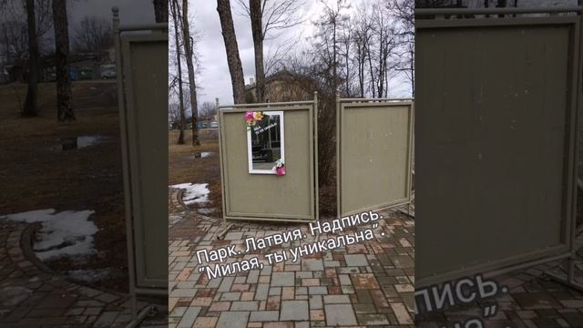 Мой родной город. #Латвия. Надпись в парке. #Jekabpils #shorts смотреть онлайн