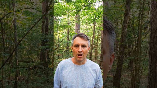 Видео о боге для искателей просветления