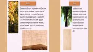 Породы древесины