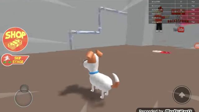 Obby тайная жизнь домашних животных. 2 часть🐶🐶🐶🐶🐶🐶🐶 смотреть онлайн