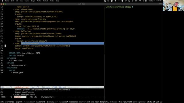 Step Runner POC Demo in Production смотреть онлайн