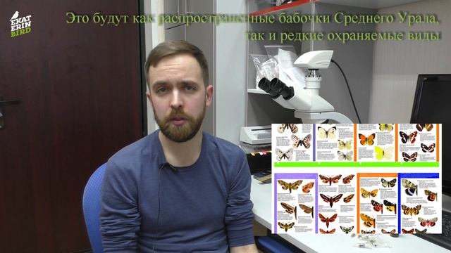 Артем Созонтов об определителе бабочек смотреть онлайн