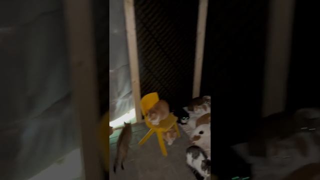 01-01-2024 смотреть онлайн