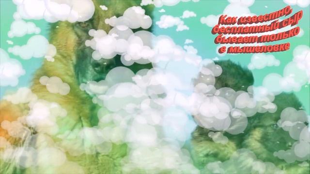 Немецкая овчарка смотреть онлайн