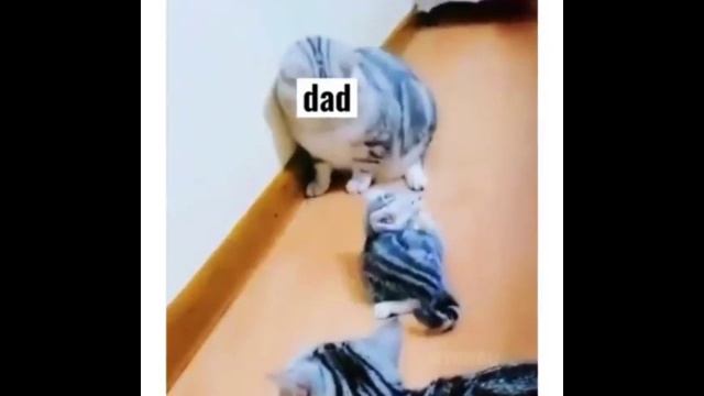 Приколы 3.mp4 смотреть онлайн