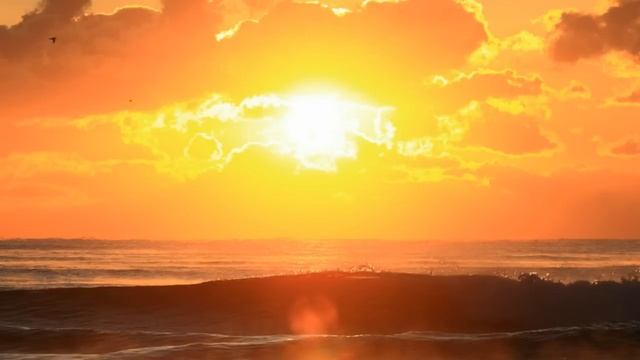 Как стать довольным жизнью смотреть онлайн