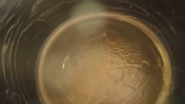 Творожный пирог в мультиварке скороварке Поларис с черникой и фруктами-С нами вкусно всегда. смотреть онлайн