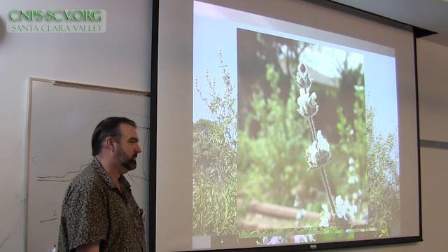 Bay Area Native Plants for the Garden смотреть онлайн