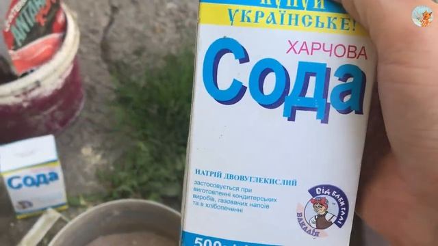 Рыболовы на Природе