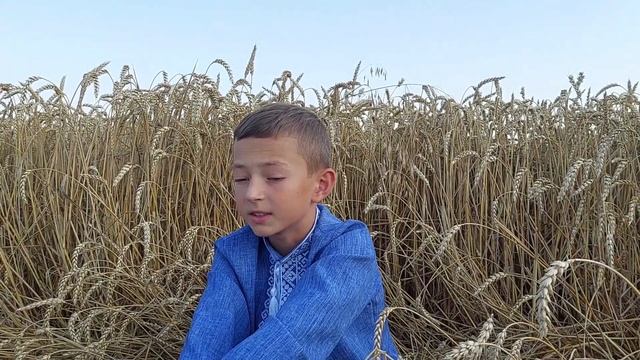 Сон («На панщині пшеницю жала...») Тарас Шевченко смотреть онлайн