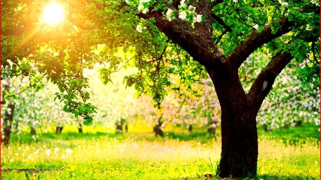 Коллекция времена года Тимохина Дарья смотреть онлайн