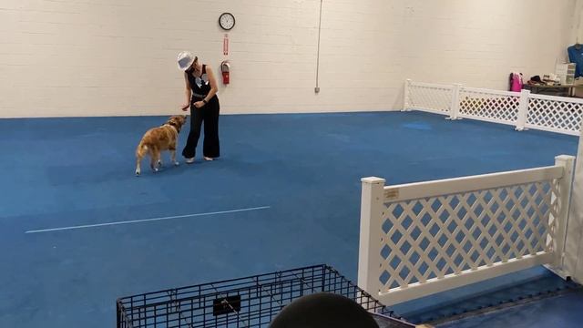 Java PDP video entry смотреть онлайн