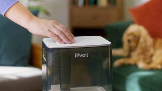 Levoit Classic 300S Smart Ultrasonic Top-Fill Cool Mist Humidifier - Product Set Up Guide смотреть онлайн