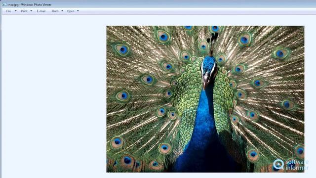 How to use Easy2Convert PSD to JPG смотреть онлайн