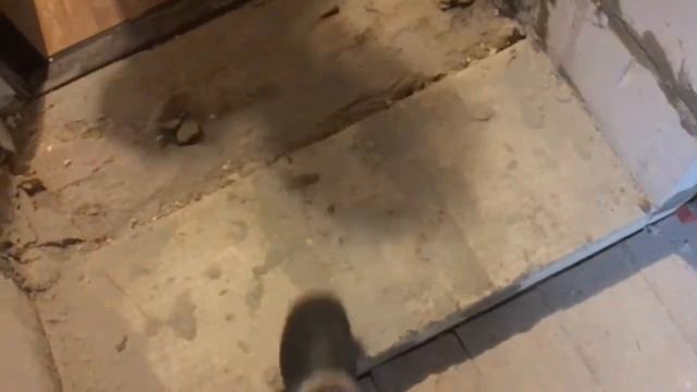 Отделка внутри объект Коломна Известковая смотреть онлайн