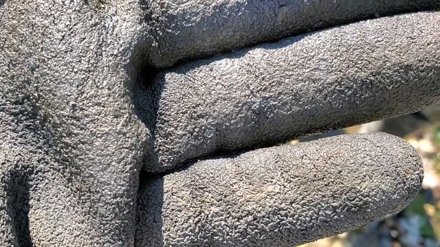 Beach Silver Coin Hoard - Minstrel Island Day 3 - Metal Detecting - Abandoned Logger Town смотреть онлайн