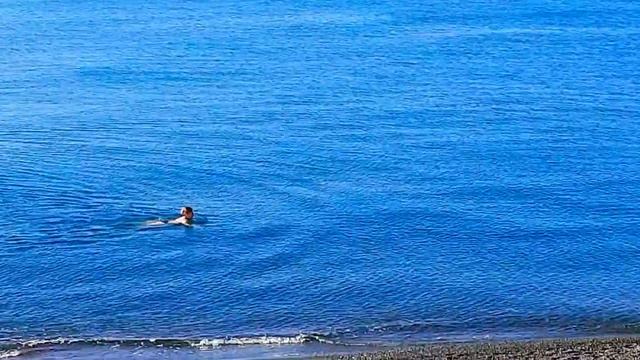 Рождественские купания в Сочи.7 января.Адлер. смотреть онлайн