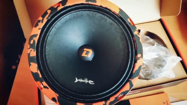 Обзор эстрадной акустики DL Audio Barracuda 165 смотреть онлайн
