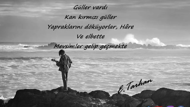 Emre Tarhan : Direniş (Seslendirme : Mehmet Bozçiçek) смотреть онлайн