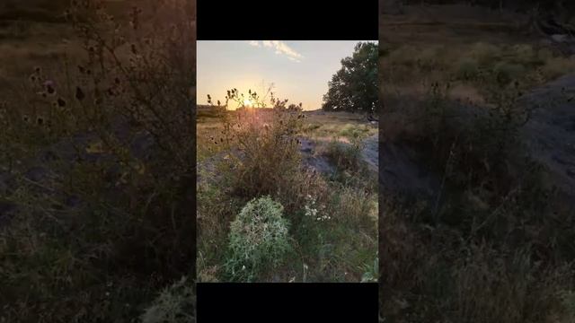 Обзор-репортаж «Четыре цвета времени посёлка Залукокоаже». Номинация «Топос. Краткий метр» смотреть онлайн