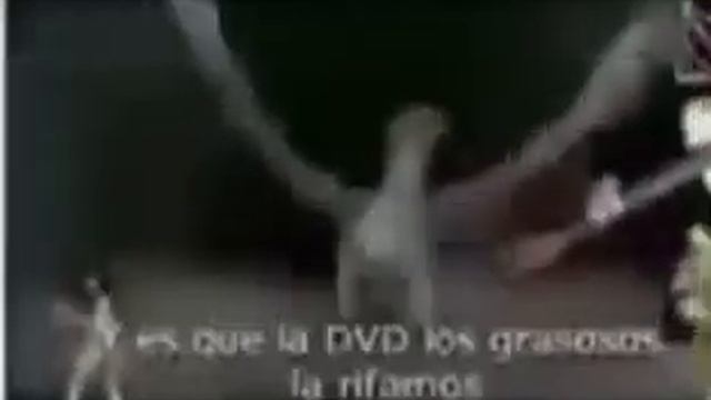 Martinetch7: OTRO ∆C0S∆D0R DE INTERNET (EXPOSING) смотреть онлайн