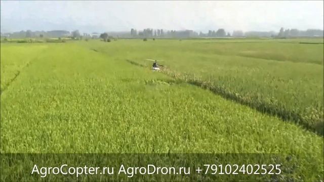 AgroDron Ru АгроДрон беспилотный вертолет в опрыскивании смотреть онлайн