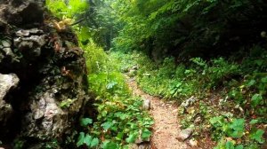 Легендарный Маршрут №30 "Тридцатка". Через горы к морю, из Адыгеи в Сочи. Поход от первого лица.