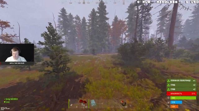 Выживание в RUST