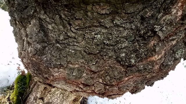 МЕГА сувель смотреть онлайн