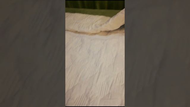 Видео отзыв от Дмитрия смотреть онлайн