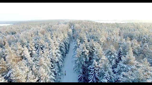 DJI Phantom 3 Professional пример видео смотреть онлайн