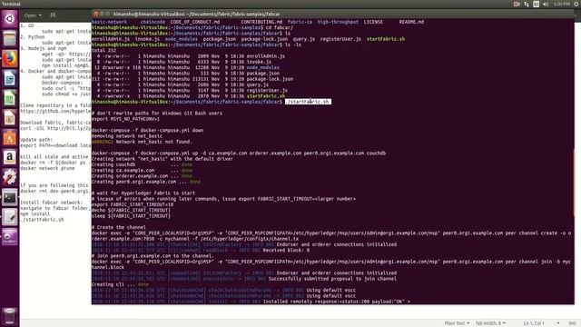 Hyperledger Fabric SDK Tutorial: Blockchain App Development & Chaincode Essentials смотреть онлайн