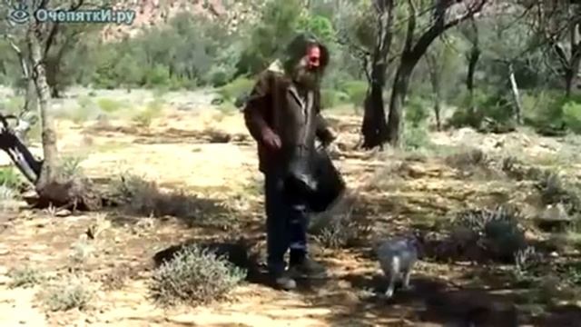 Как поймать кенгурёнка смотреть онлайн