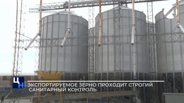 Специалисты Россельхознадзора контролируют соблюдение лесного карантина смотреть онлайн