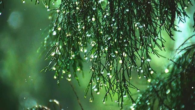 Музыка для бессонных | лечебная музыка, звуки природы, музыка для медитации смотреть онлайн