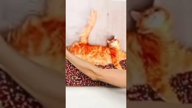 А вы знали как просто повесить картину? смотреть онлайн