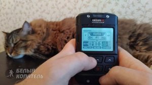 Секреты и настройки XP Deus 2 / Дополнительные программы, Трешхолд, Экономия заряда батареи