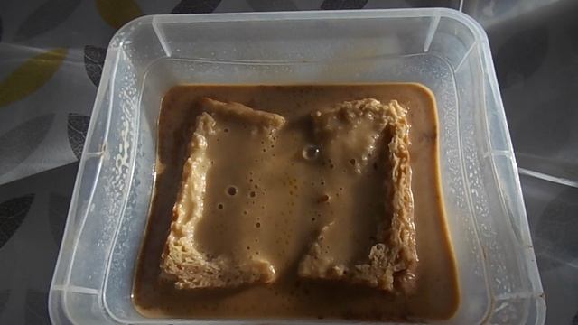 Уксусная угрица (нематода) корм для аквариумных рыб (ответы на вопросы) смотреть онлайн