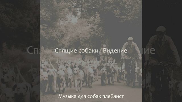 Впечатление (Выгул собак) смотреть онлайн