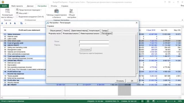 #2.3 Budget-Plan Express – программа для подготовки бизнес-планов. Урок 2 [Часть 3].