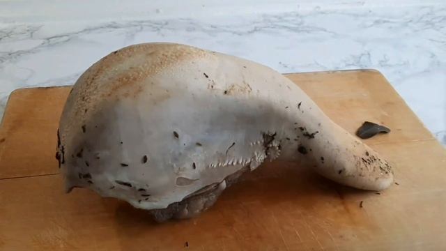 Clean cow Tongue |Simple way to peel beef tongue | Do this to enjoy cow Tongue смотреть онлайн