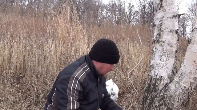 Поиски Грибных Районов