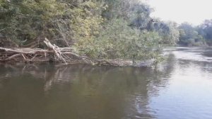 Сплав по Северскому Донцу Серия 2