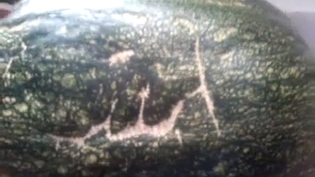 Слово АЛЛАГЬ НА ТЫКВЕ МА ША АЛЛАГЬ смотреть онлайн