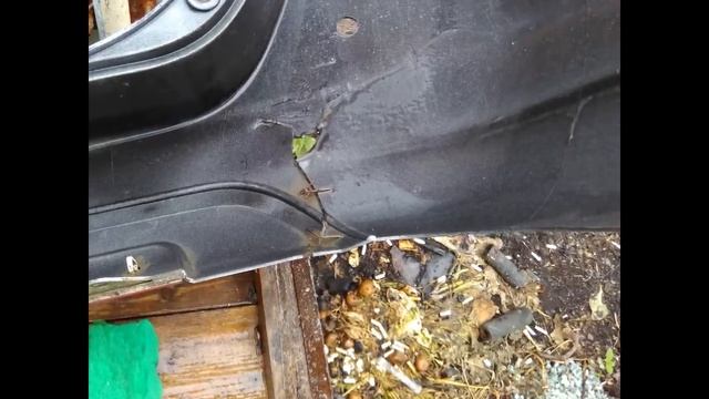 Ремонт бампера Фьюжика смотреть онлайн