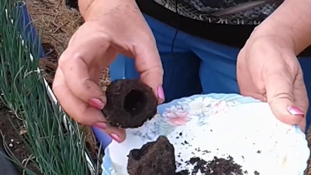 Кабачки,гнезда медведки ,опоры для гороха. смотреть онлайн