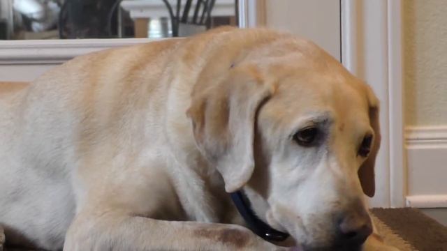 Camera Test - Panasonic V770 смотреть онлайн