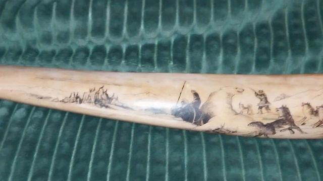 Бивень моржа 2 килограмма 690 грамм смотреть онлайн