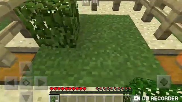 Декоративные деревья смотреть онлайн