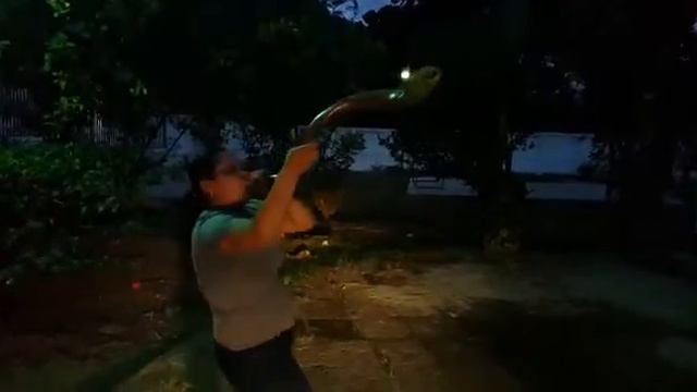 Shofar Nicaragua 2 смотреть онлайн